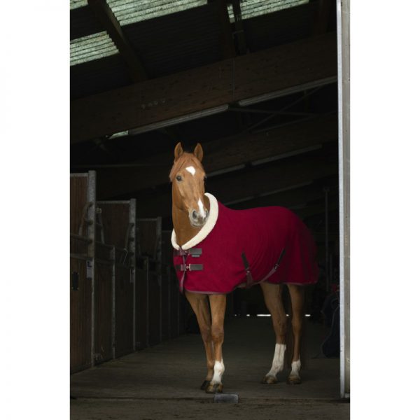 equitheme-teddy-polar-fleece-decke (1)